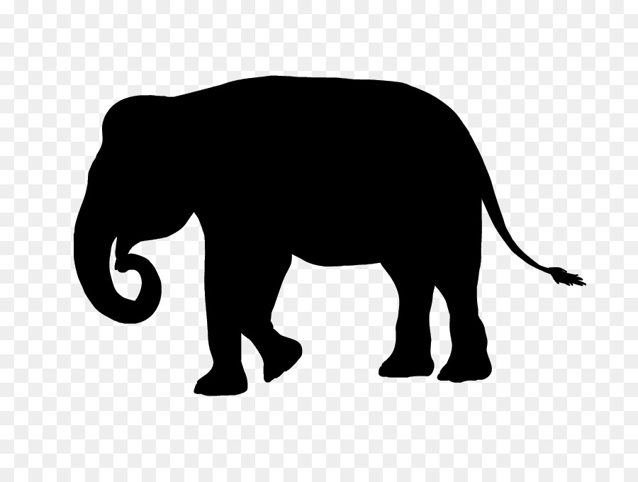 Ấn độ, con voi Phi voi Mèo hoang Dã động vật trên mặt Đất - con mèo