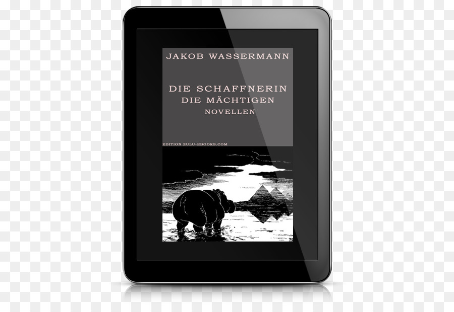 Die Schaffnerin Text Multimedia Novel E-book - chaf