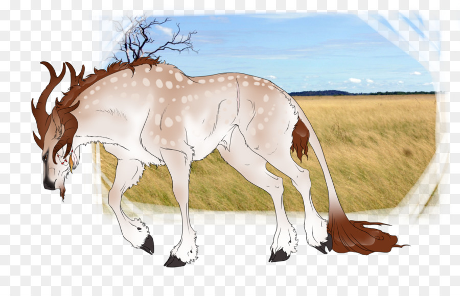 Mustang Puledro Mare Cervo Springbok - mustang