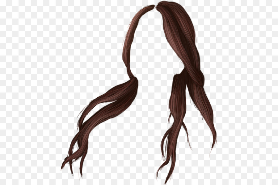 Lange Haare, Braune Haare färben Frisur - Haar