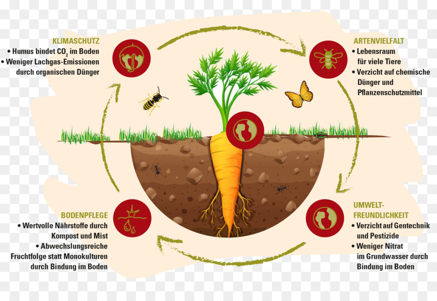 Bio-Lebensmittel Bio-Anbau die Biologisch-dynamische Landwirtschaft Fruchtfolge - Demeter