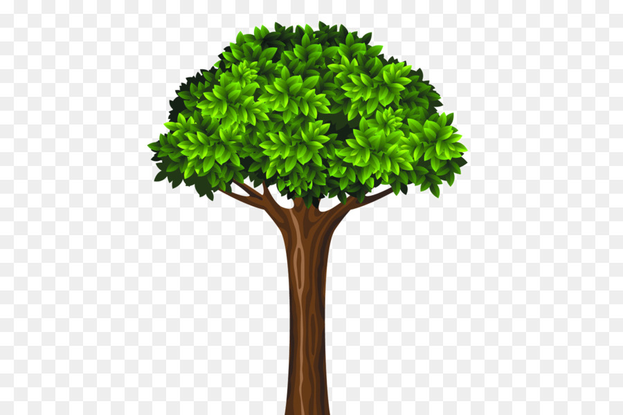 Tronco d'albero Royalty-free - albero
