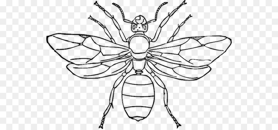 Queen ant, Insekt clipart - Insekt