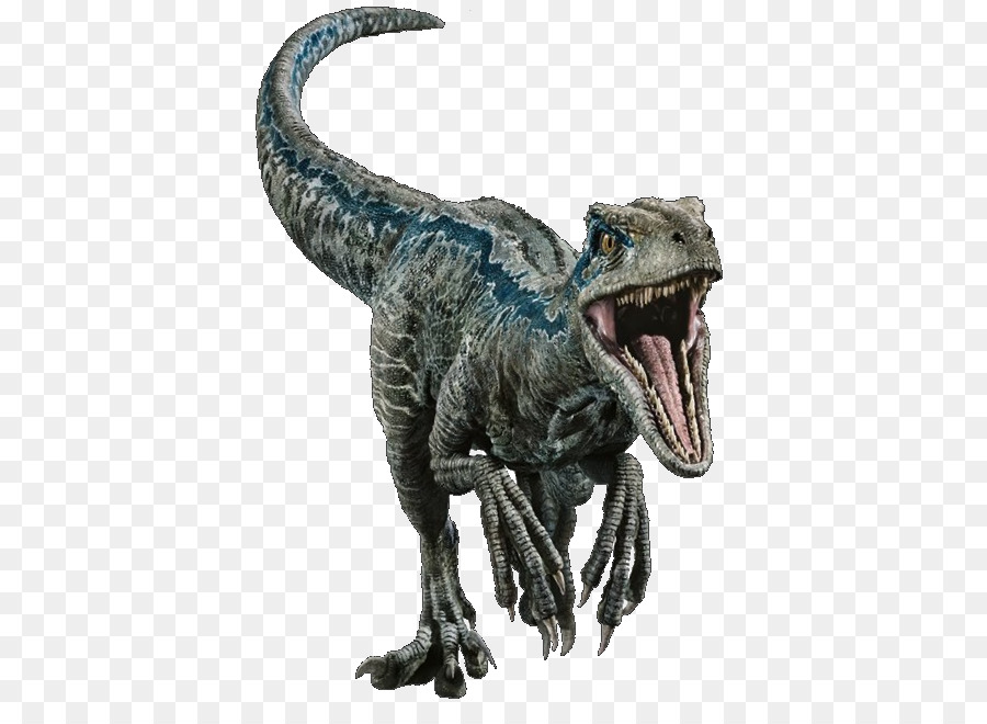 Tyrannosaurus Velociraptor Deinonychus Wesendlich Dinosaurier Stegosaurus - velociraptor blau