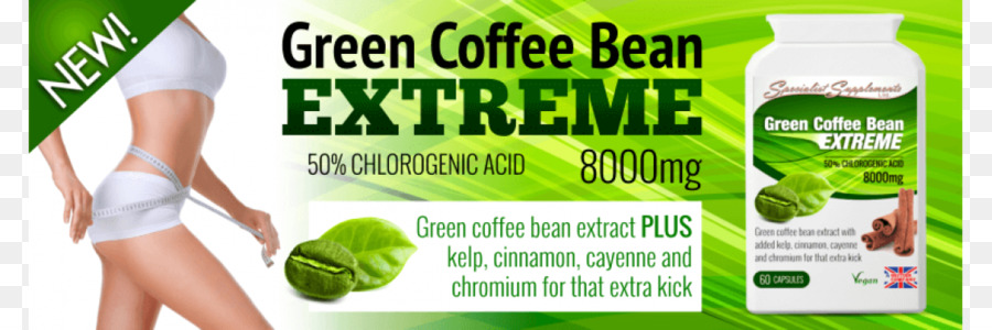 Grüner Kaffee Extrakt-Green Coffee bean Tee - / Web-banner - grüne Kaffeebohne