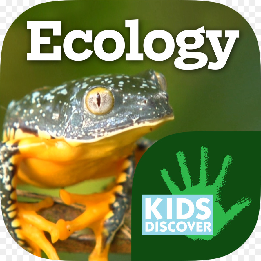 Kinder Entdecken die Ökologie Kind Natürliche Umwelt Informationen - Gefährdete Arten recovery plan