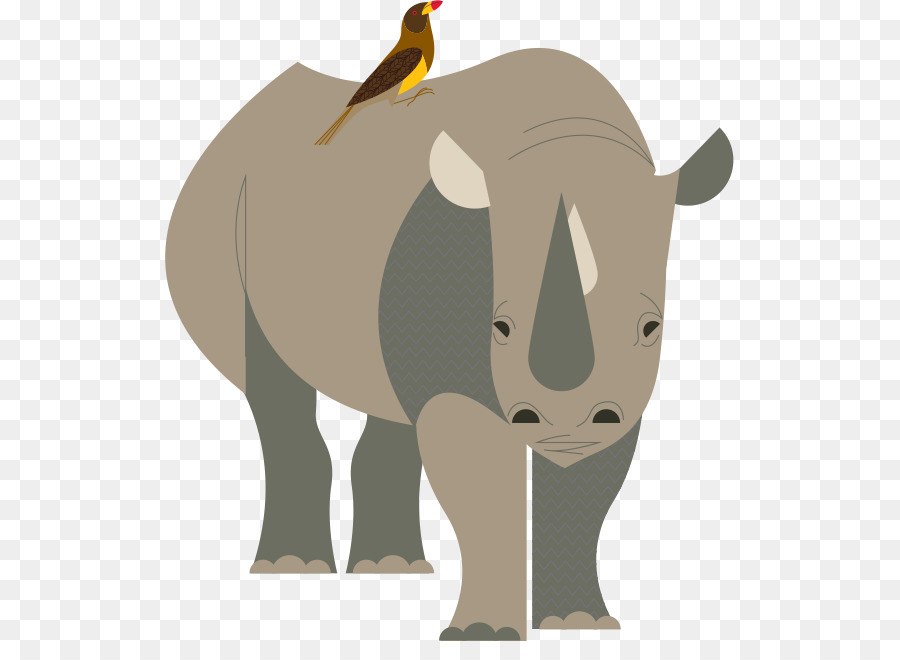 Nashorn, Lama, Vogel indischen Elefanten - Vogel