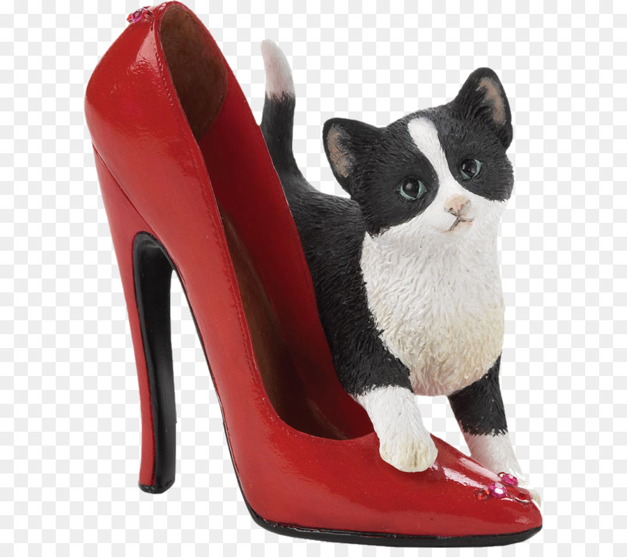 Katze Kätzchen hochhackigen Schuh Schnauze - Katze