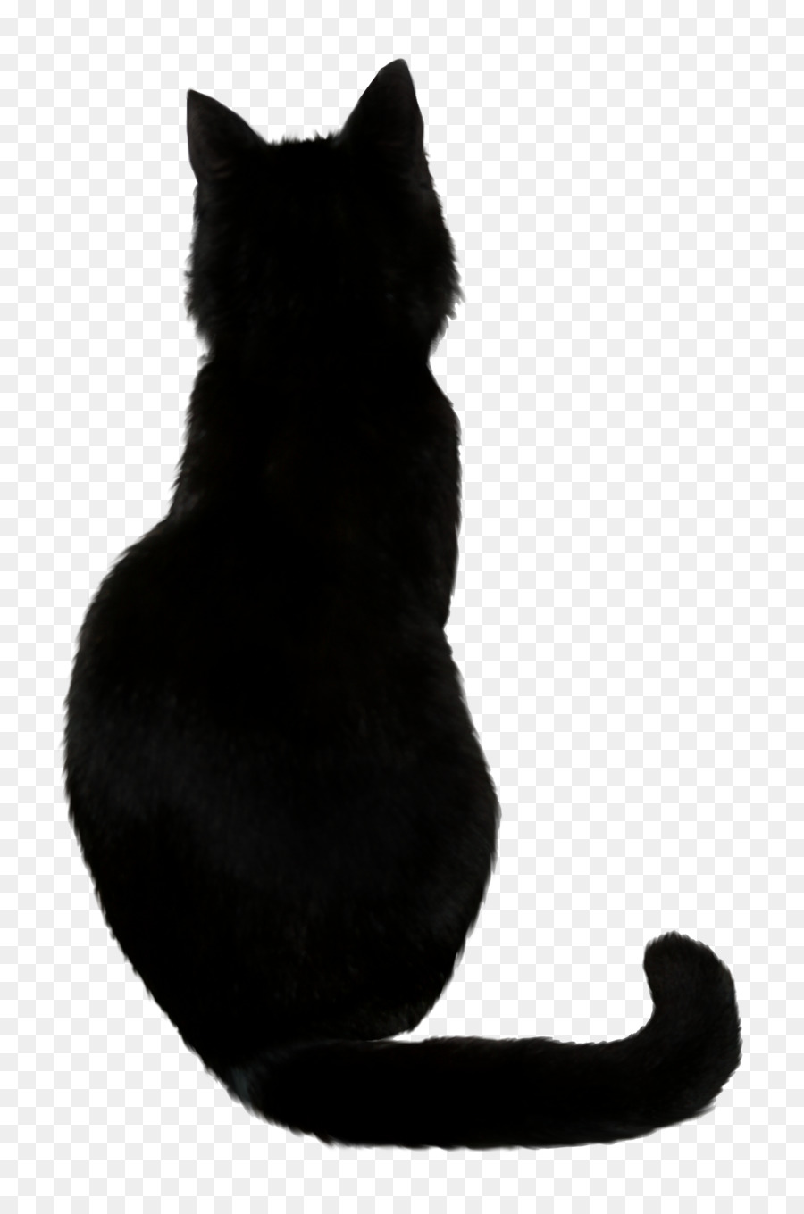 Schwarze Katze Kätzchen Zeichnung - Katze