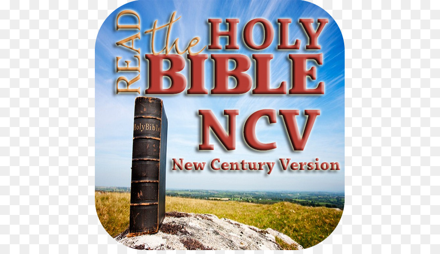 New American Bible Revised Edition Der King-James-version, Zeitgenössische englische Version - New Century Version