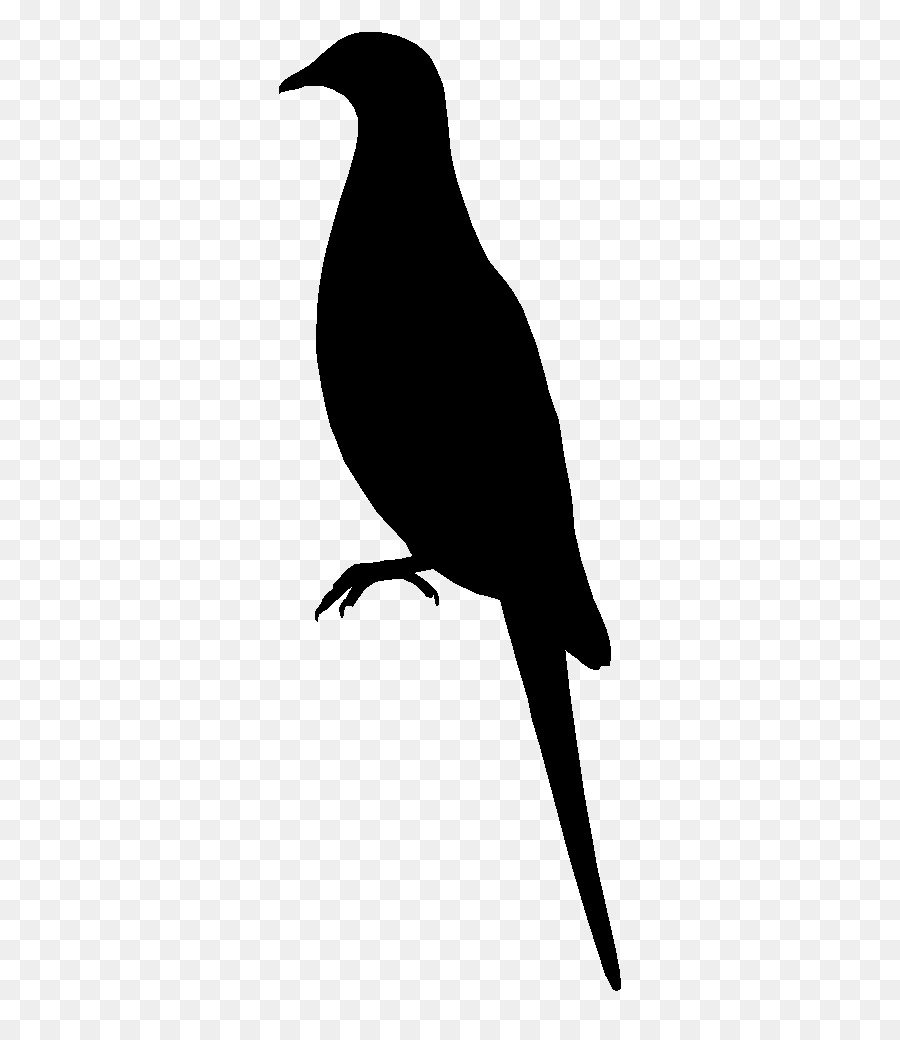 American crow Silhouette Schwarz Common raven Weiß - Silhouette