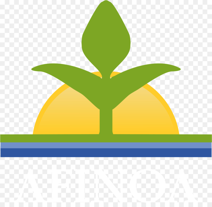Afinoa Citrus greening Krankheit Zitrone System - Zitrone