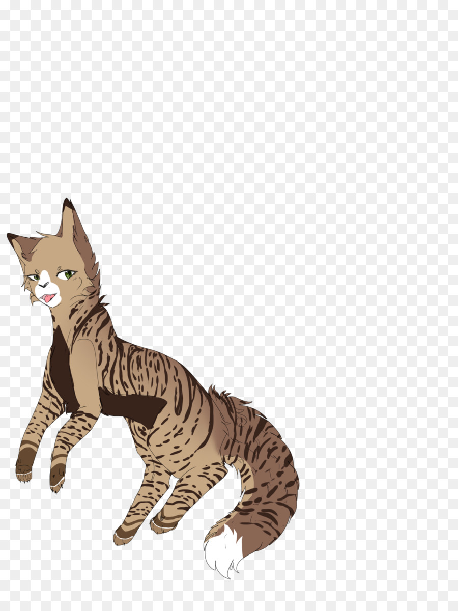 Toyger châu Âu lông ngắn California spangled Sokoke Bengal mèo - con mèo