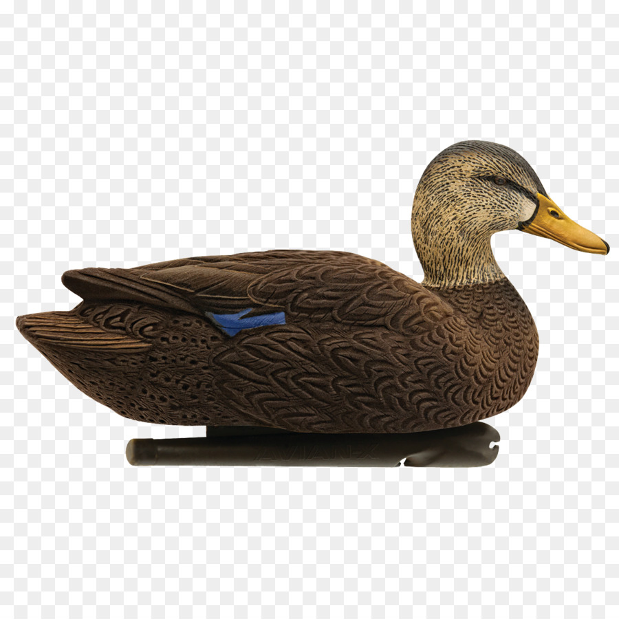 Mallard Duck decoy Duck nennen - Ente