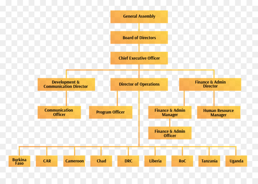 Organisationsstruktur Organizational behavior Organizational chart - internationale Nichtregierungsorganisationen Kon