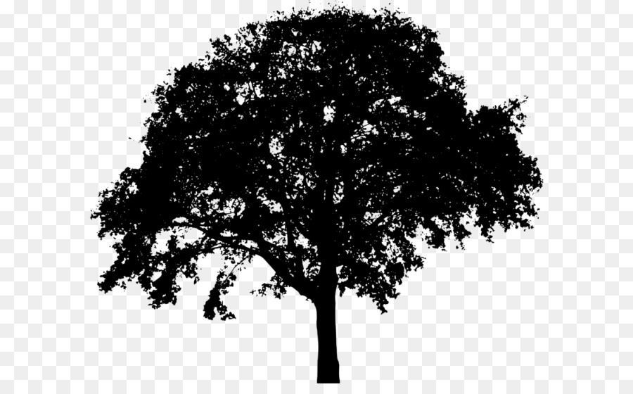 Brazil - Tree Silhouette - CleanPNG / KissPNG