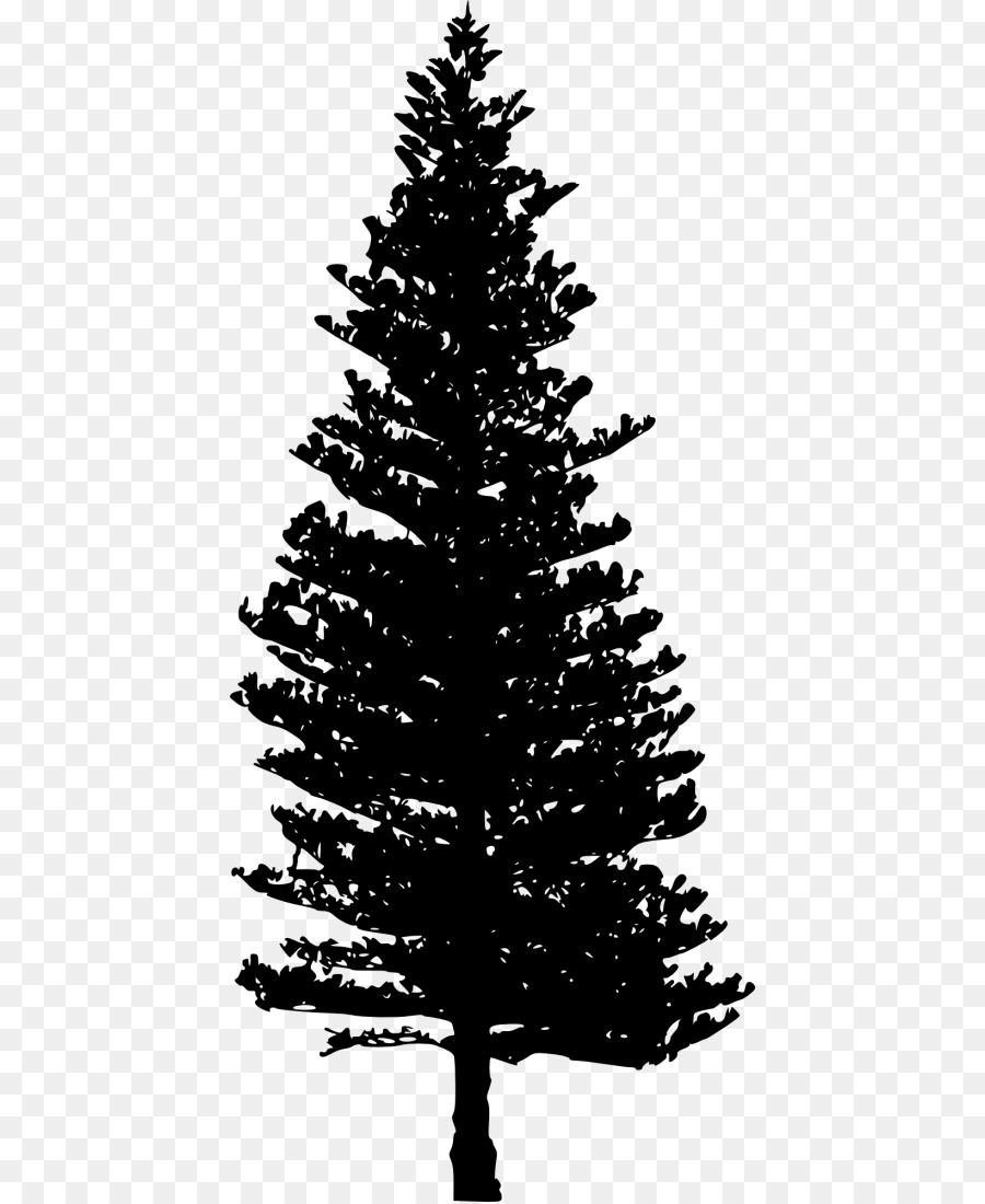 douglas fir tree silhouette