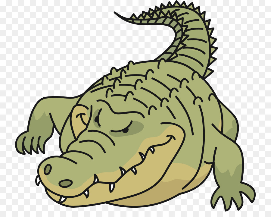 Krokodile, Alligatoren Clip-art - Krokodil