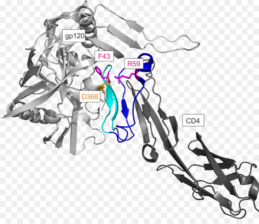 CD4-Envelope-Glykoprotein GP120, HIV - Glykoprotein