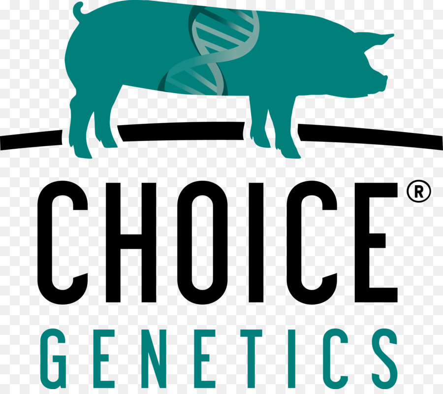 Scelta Genetica USA, LLC maiale Domestico Genetica Animale - Grimaud
