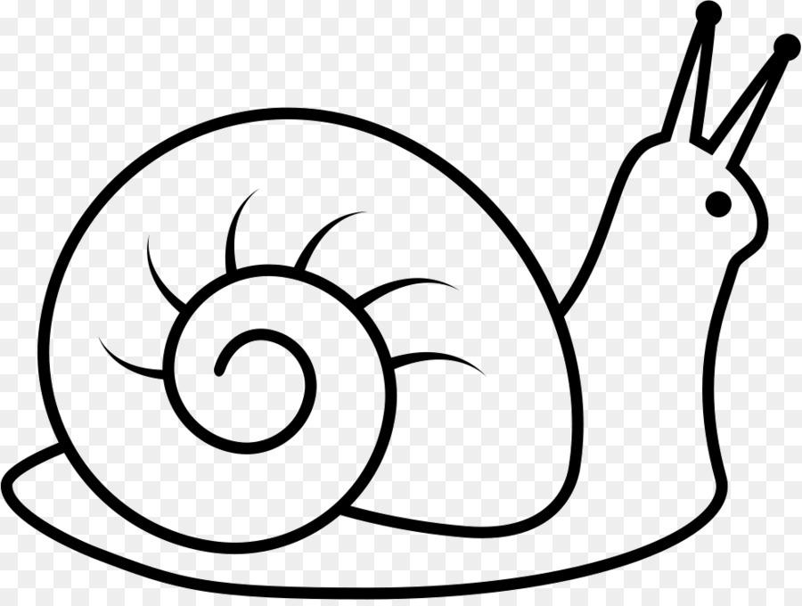 Snail Cartoon png download - 981*734 - Free Transparent Snail png Download.  - CleanPNG / KissPNG