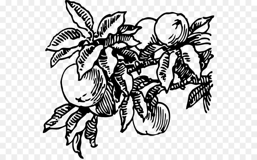 Trái cây Vẽ Clip nghệ thuật - peach lát
