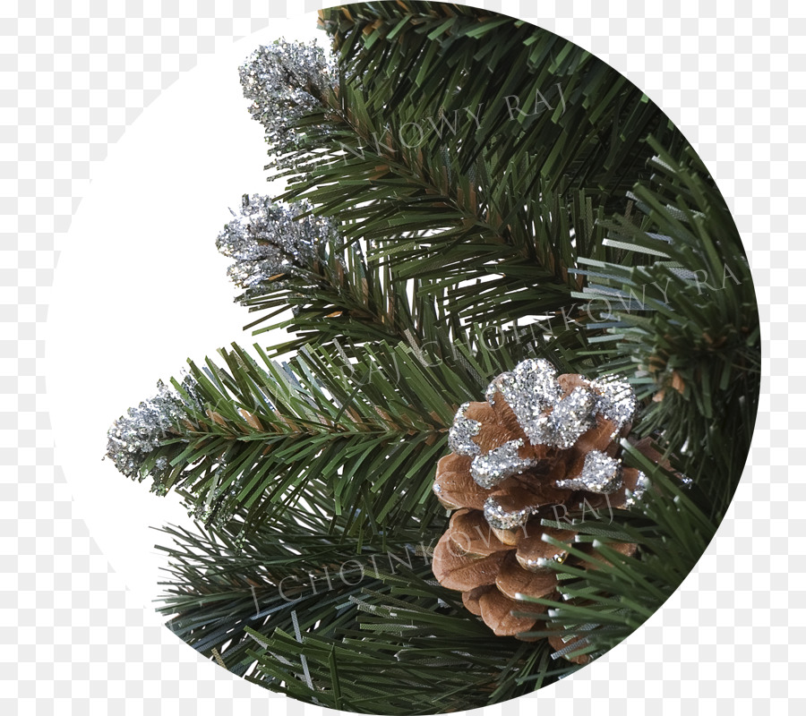 Fir Christmas ornament Fichte Kiefer Weihnachtsbaum - Weihnachtsbaum