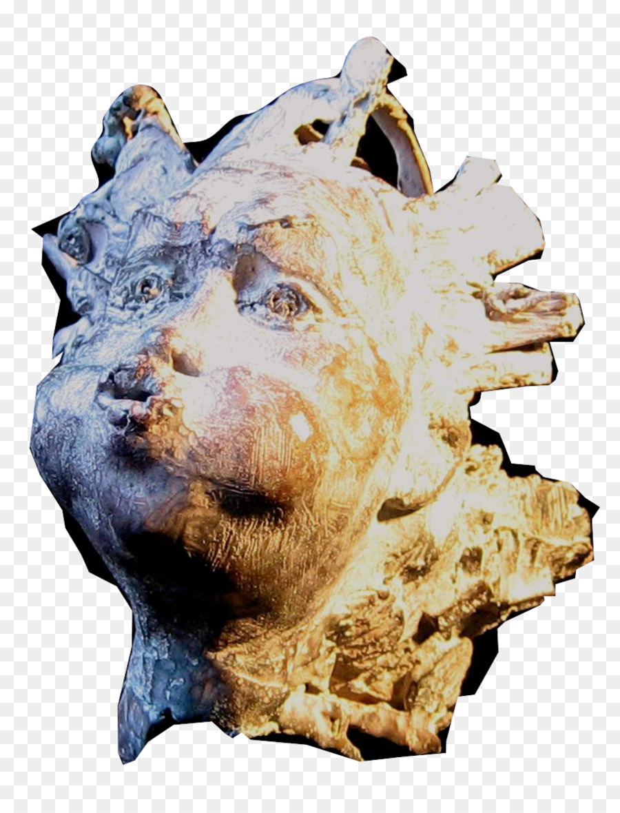 Bronze-skulptur auf tierische Snout, Die Gegerbt - Die zauberin von Florenz