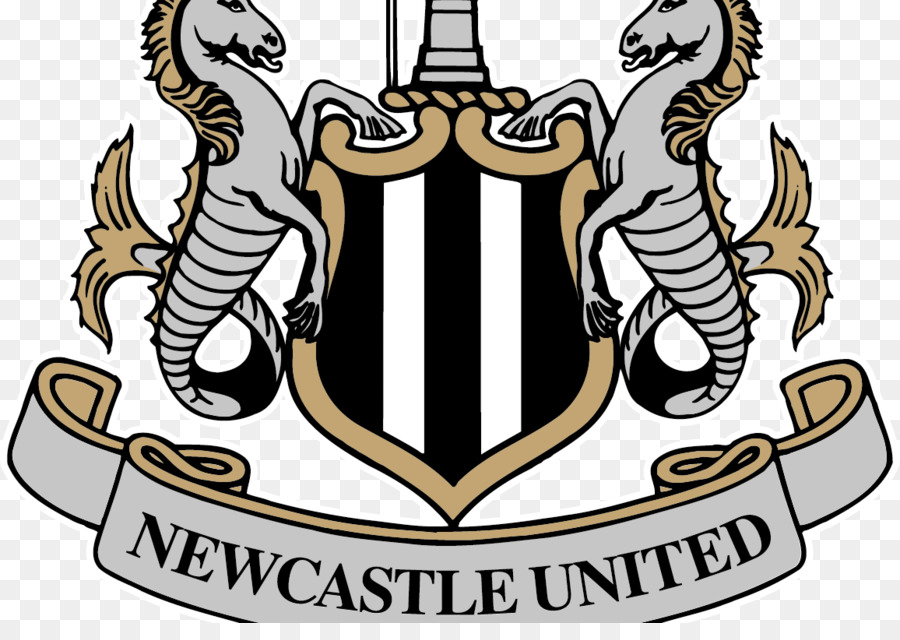 Newcastle United F. C., il St James' Park Premier League inglese di Calcio di Lega EFL Campionato - premier League