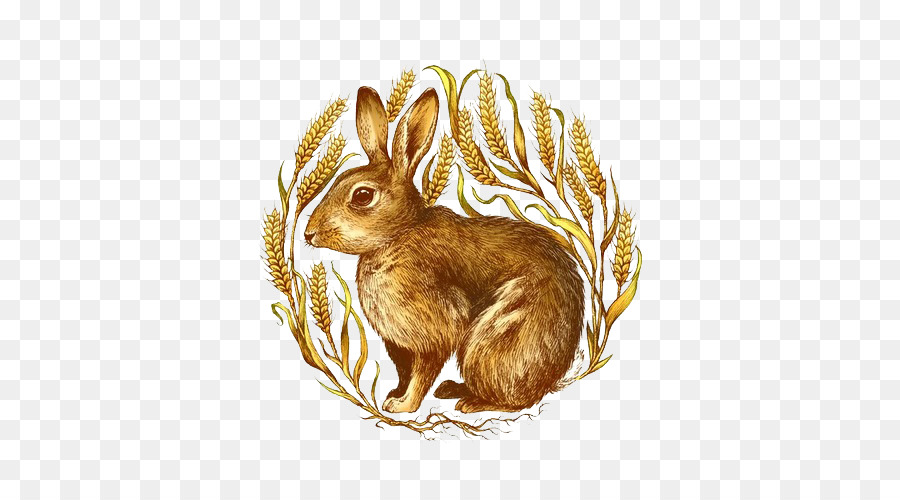 Heimische Kaninchen Hase Illustrator - Kaninchen