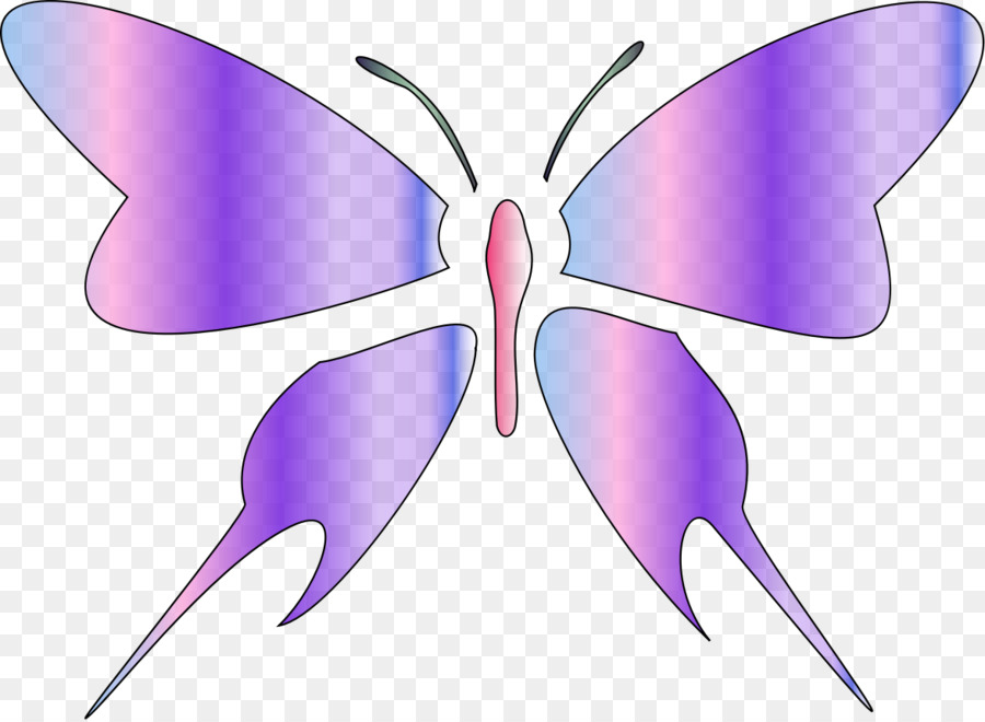 Pinsel-footed butterflies Moth Butterfly Fairy Clip-art - Schmetterling