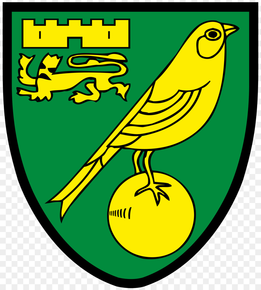 Norwich City F. C. Carrow Road, Norwich City L. F. C. EFL Campionato Nido - Norwich City F. C.