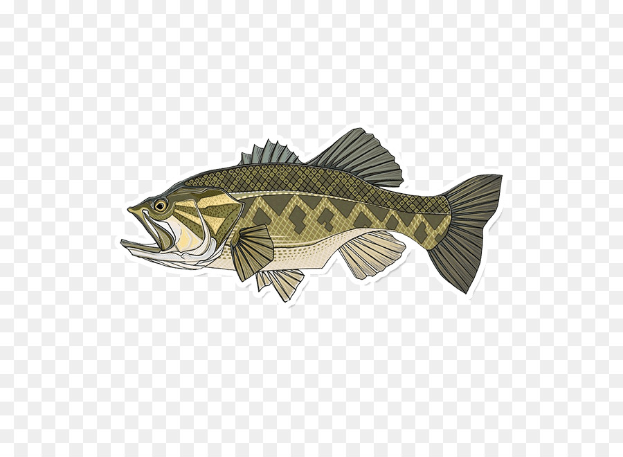 Fishing Cartoon png is about is about Largemouth Bass, Smallmouth Bass, Bas...