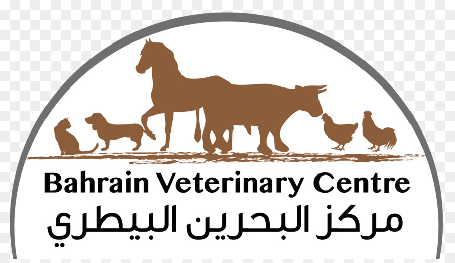 Con chó Bahrain Thú trung Tâm Mèo bác sỹ Thú y - Con chó