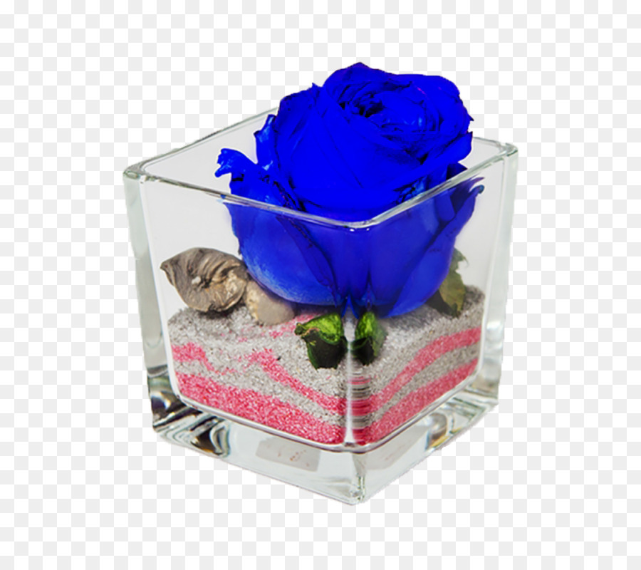 Blue rose Schnittblumen - Rose