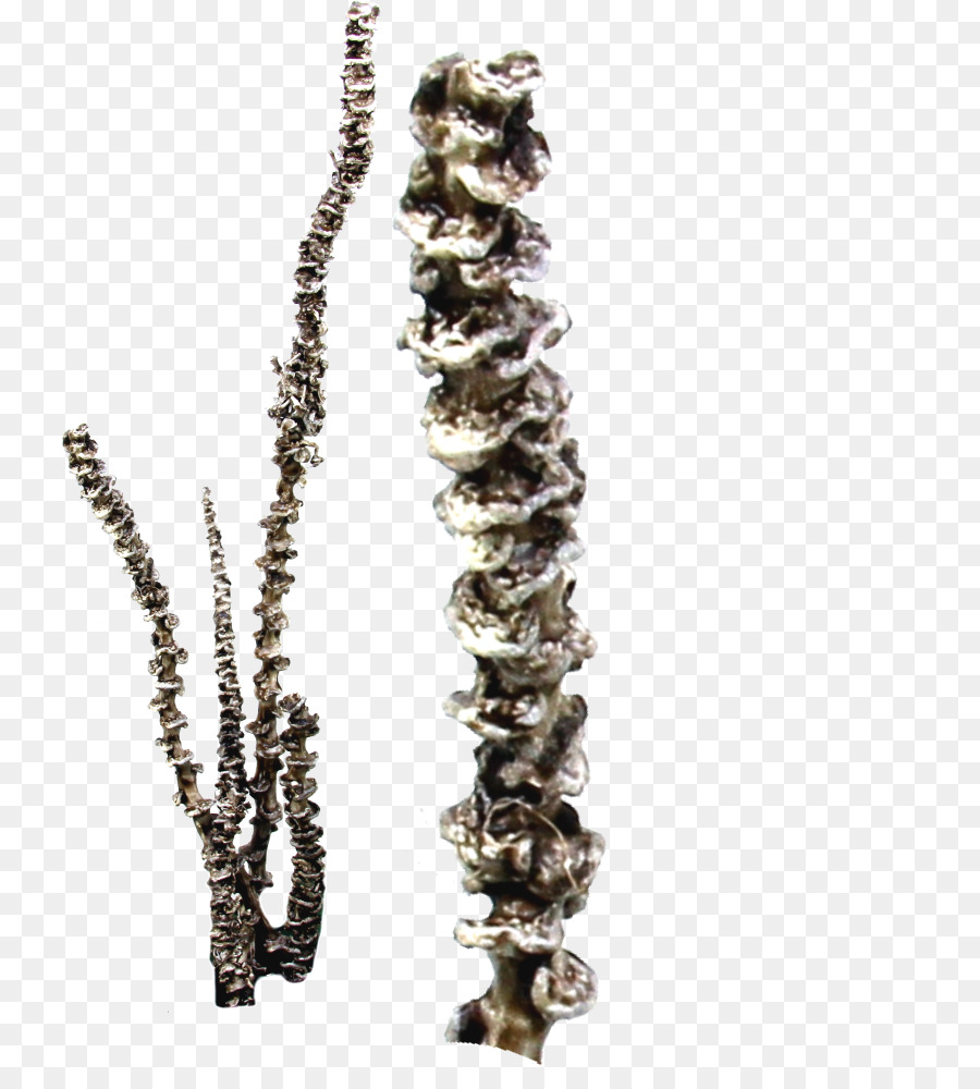 Halskette Körper Schmuck - Halskette