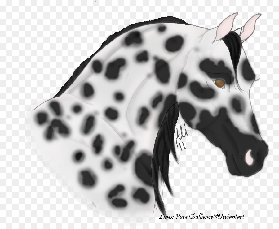 Dalmatiner Hund Appaloosa Tiger, Pferd, Hund, Rasse, Welpen - Welpen