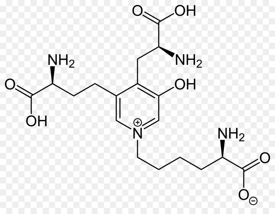 Desossipiridinolina Ricerca Cefalexin droga Farmaceutica Numero di Registro CAS - test delle urine