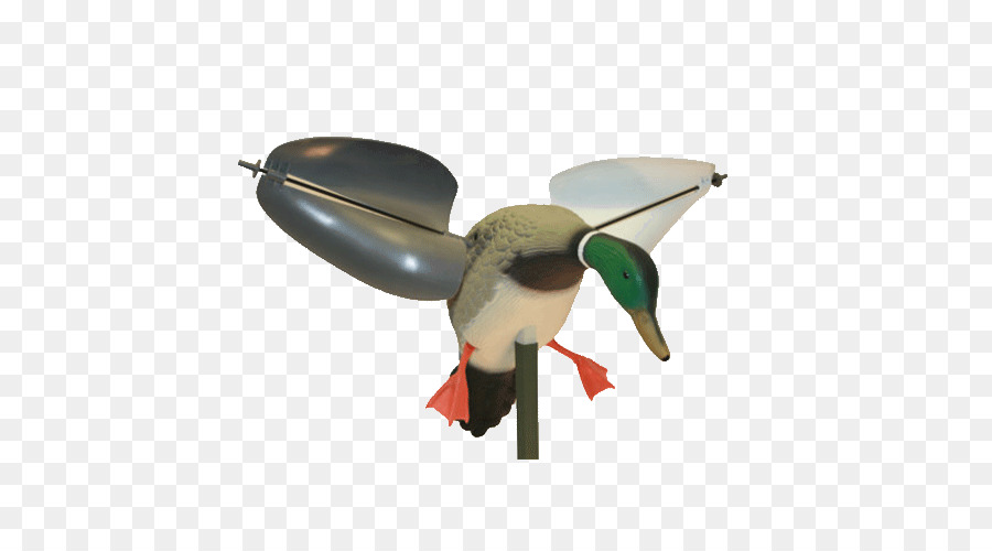 Mallard Duck decoy Jagd - Ente