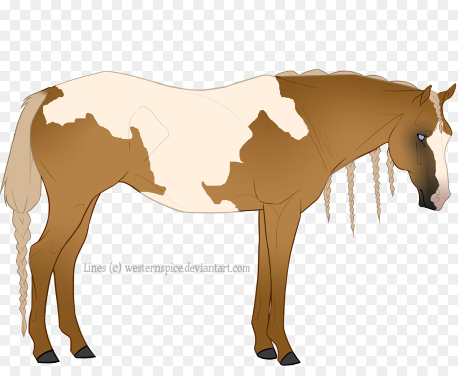 Con Ngựa Con Ngựa Ngựa Mustang - mustang