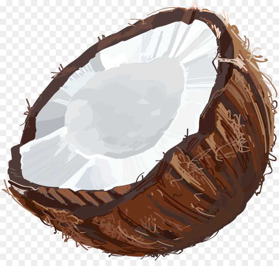 Obst clipart - Kokosnuss