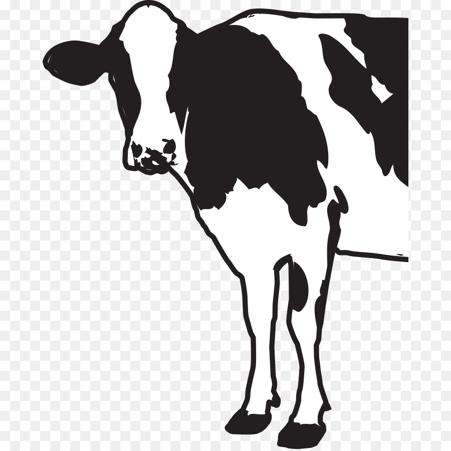 Holstein Friesian bovini bovini da carne allevamento di bestiame da Latte di Mucca zoccolo - cucchiaio di dolcezza e di altre buone maniere