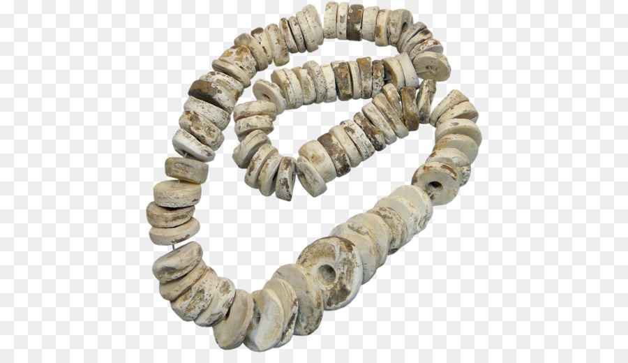 Handel Perlen Chumash Skara Brae Shell Geld - Seashell