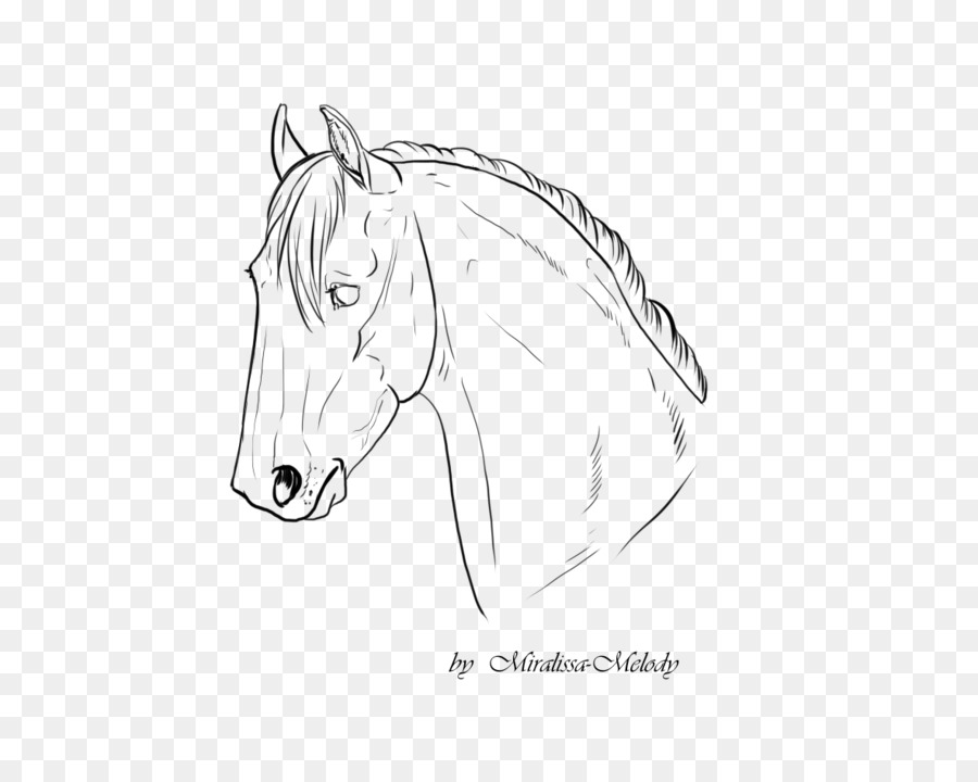 Con ngựa Dòng nghệ thuật Bờm Ngựa Phác thảo - Con ngựa