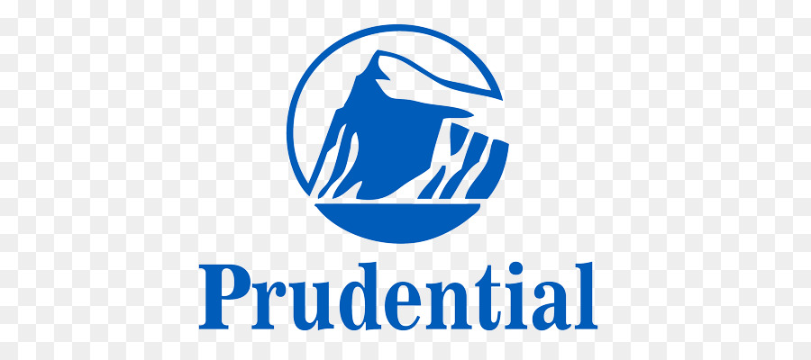 Prudential Financial Blue