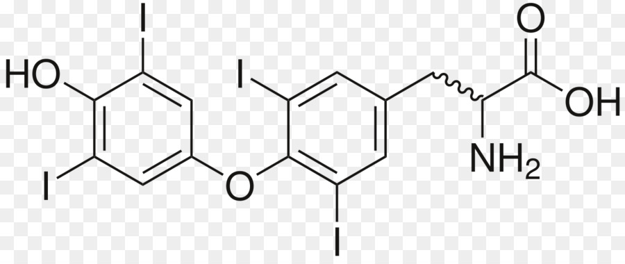 Reverse triiodothyronine Diethylether Ethyl Gruppe Chemische Verbindung - thyroidstimulating Hormon