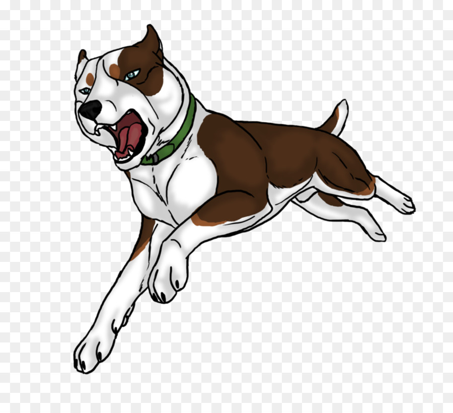 Cane di razza Pit bull Bulldog American Foxhound English Foxhound - T R A S P O R R E L
