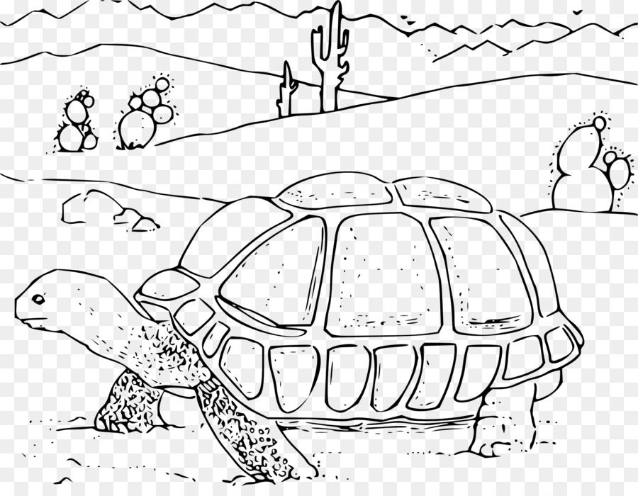 Tartaruga del Deserto di Sonoran Desert tartaruga libro da Colorare - tartaruga