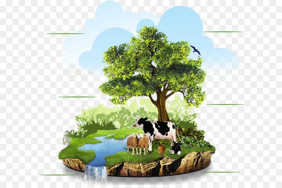 Landwirtschaft Bio-Lebensmittel, Bio-Landwirtschaft-Natur-Umwelt - Natürlichen Umgebung