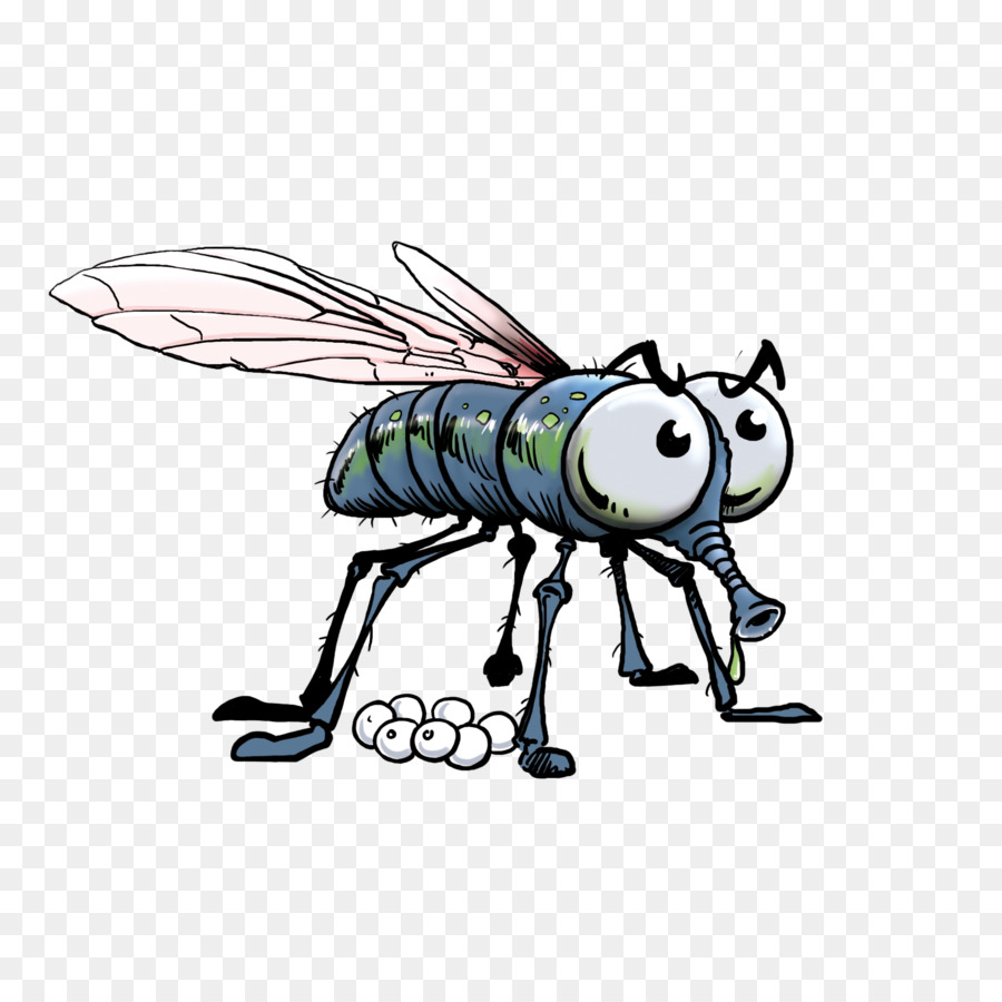 Insekt Cartoon Clip art - Insekt